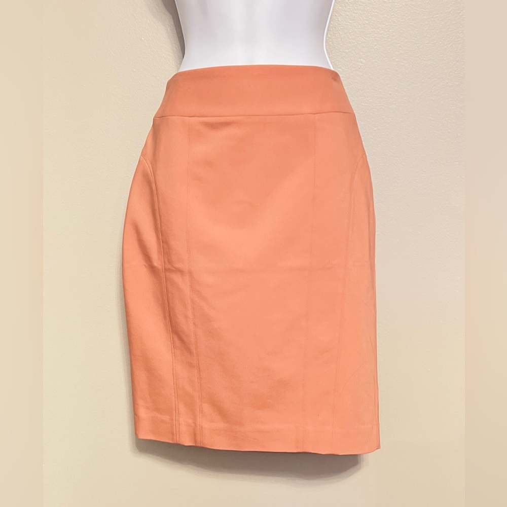 EXPRESS brand new skirt, size 4